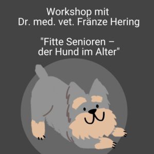 Workshop Hundesenioren