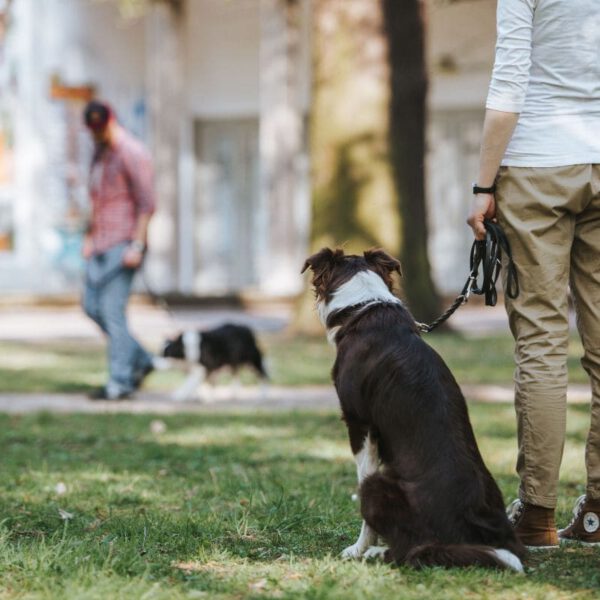 Social Walk in Leipzig