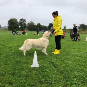 Ringtraining für Aussteller in Leipzig