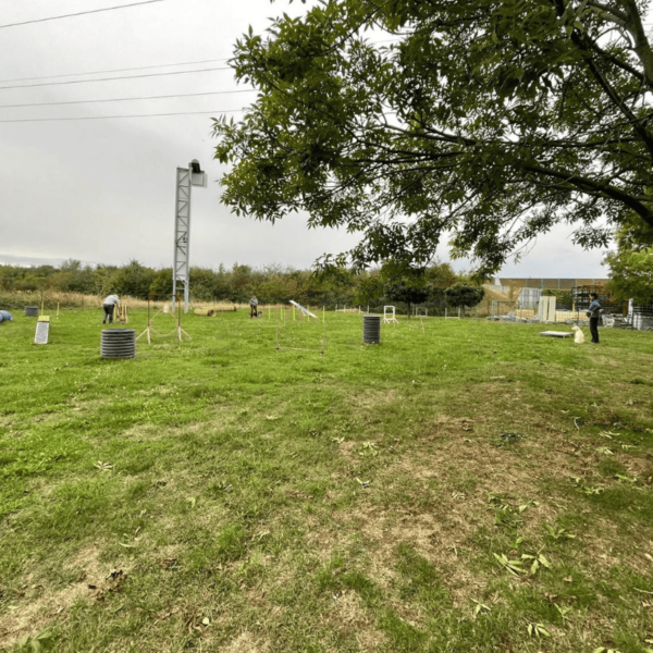 Agility im Hundezentrum