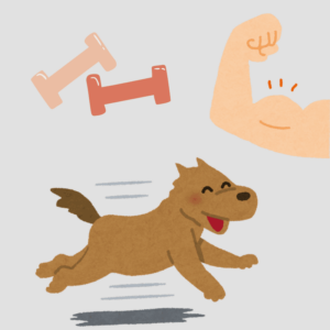 Hundefitness