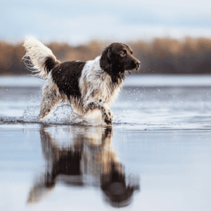 Abendlicher Fotowalk am Wasser