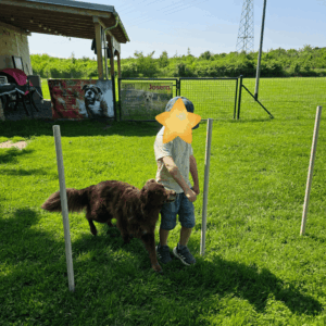 Kind-Hund-Kurs: Teamwork-Training