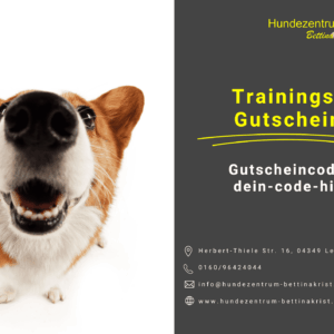 Gutschein im Hundezentrum